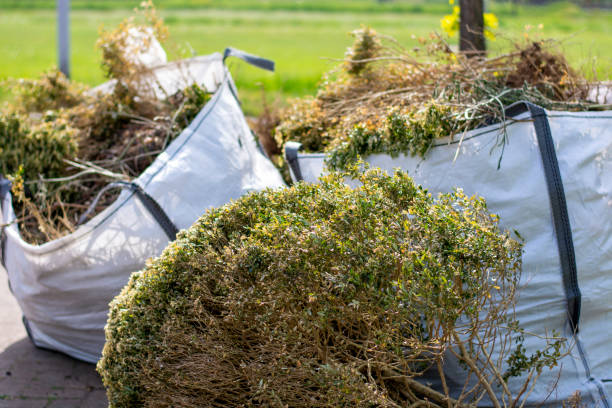 Best Recycling Services for Junk  in Springfield, OR